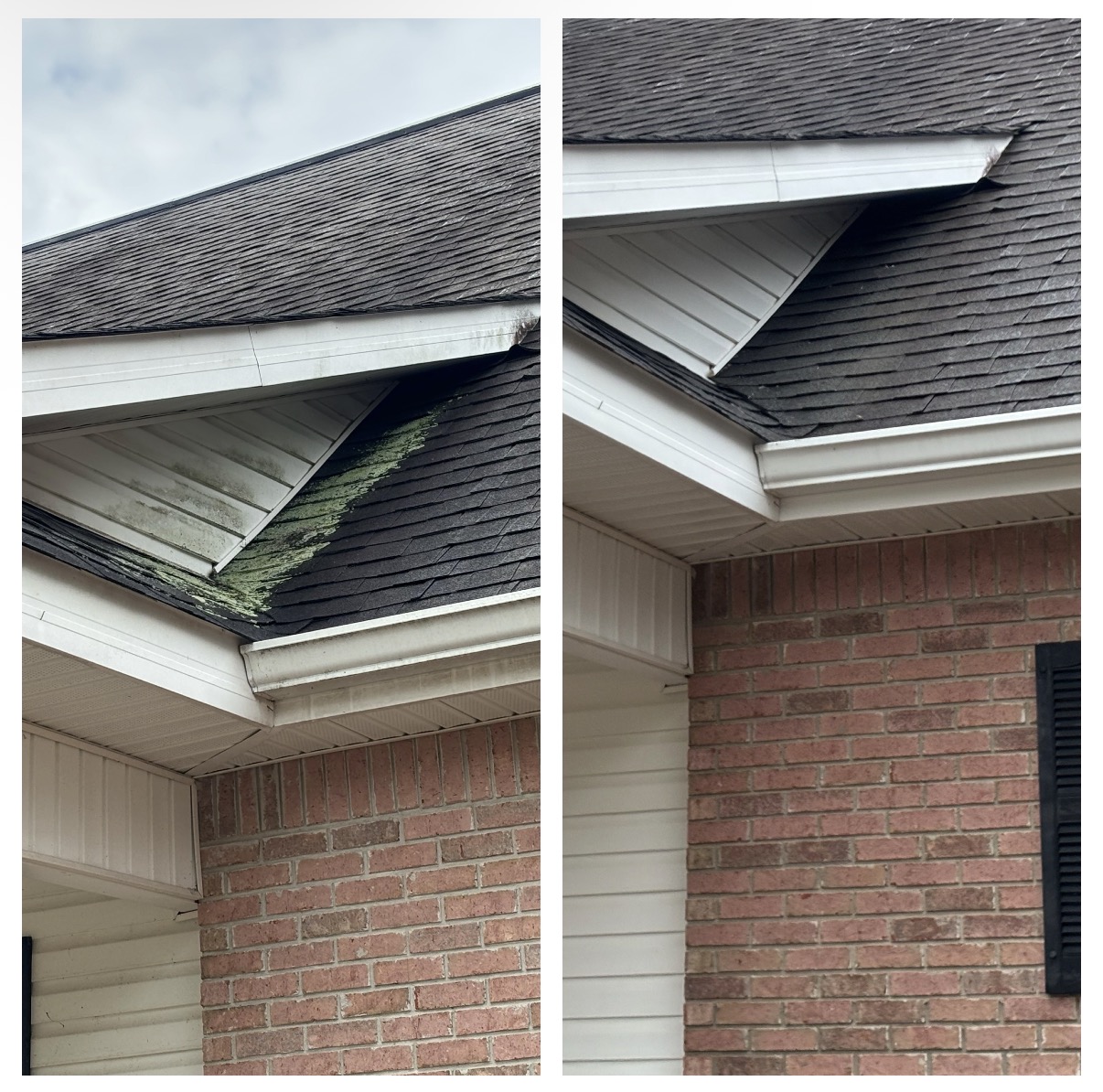 Roof Cleaning
